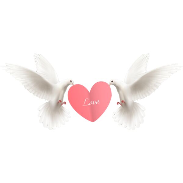 2 doves with heart Thumbnail